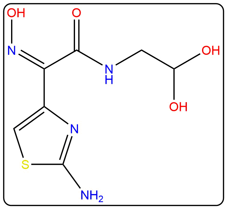 CEFDIN~1