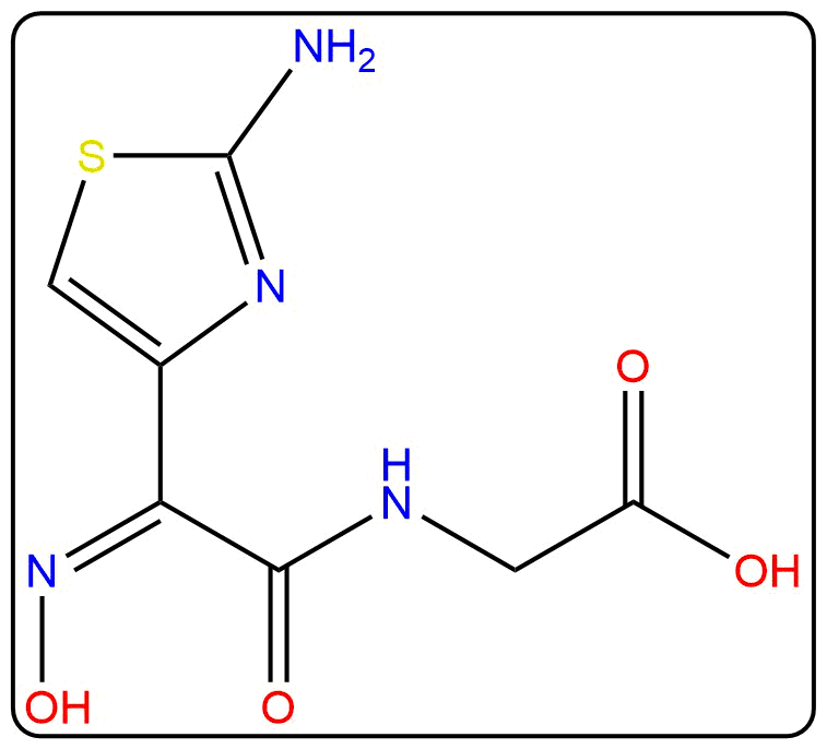 CEFDIN~1