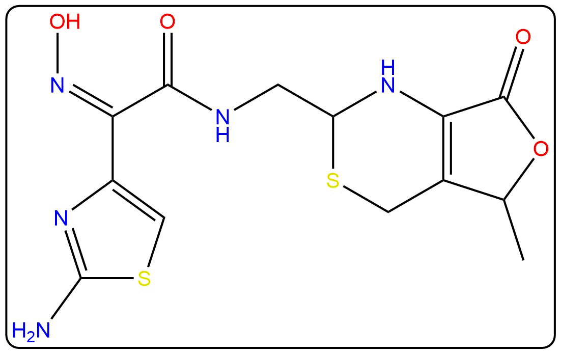 CEFDIN~1