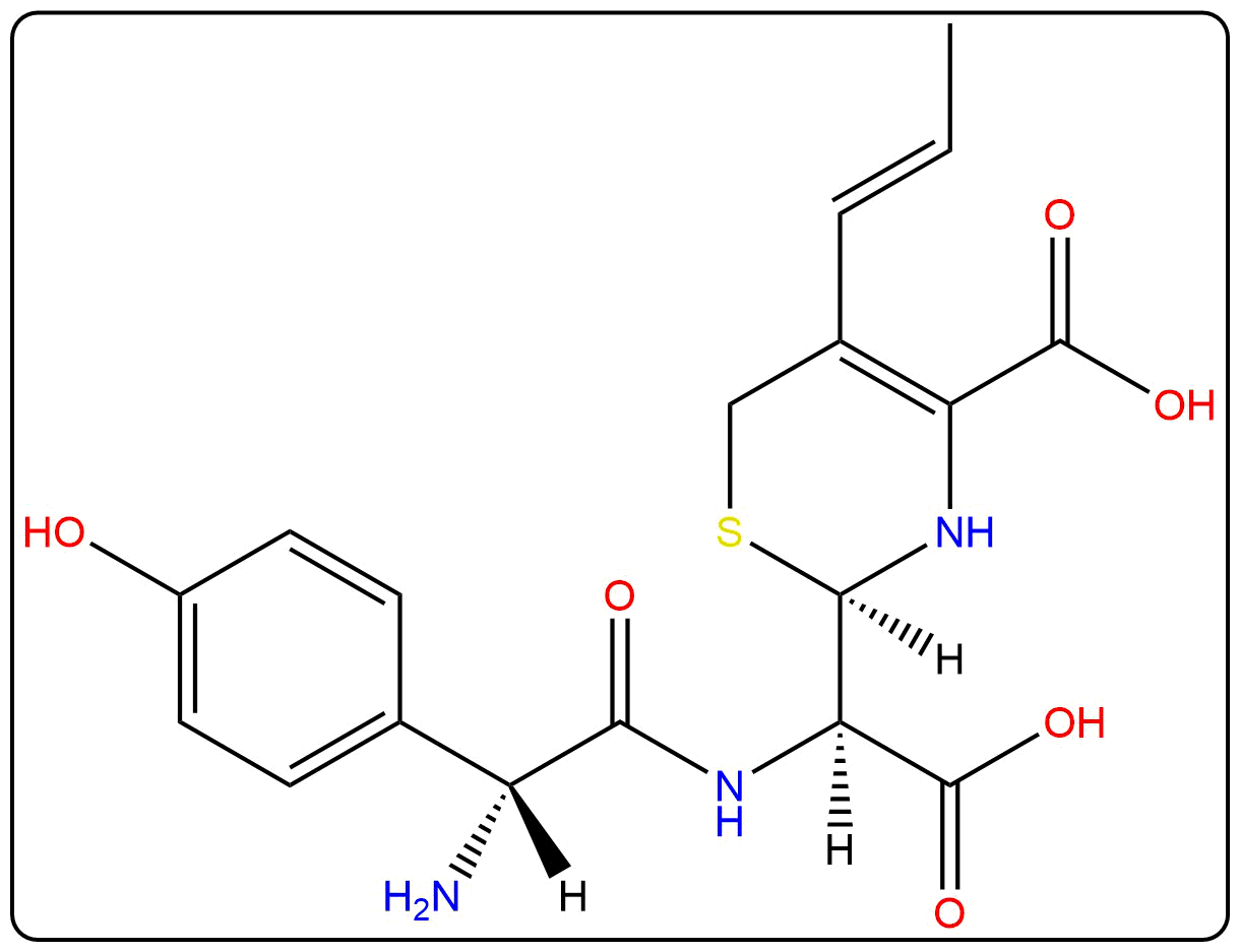 CEFPRO~1
