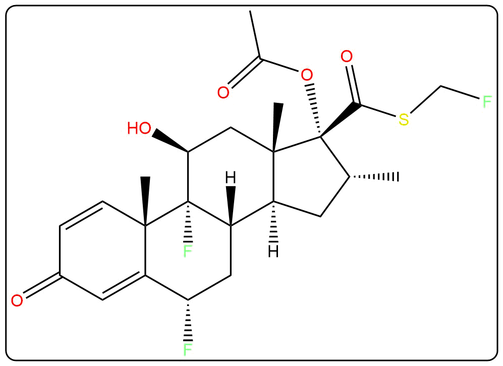 FLUTIC~1