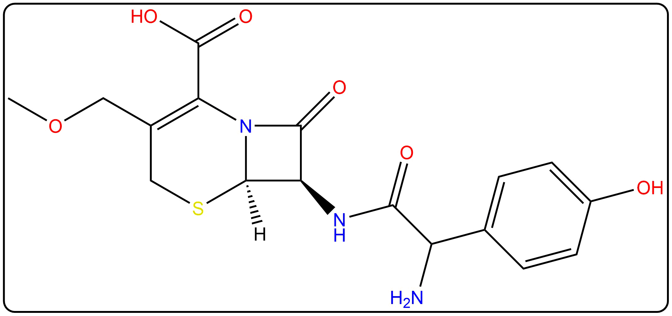 Methoxy Cefadroxil